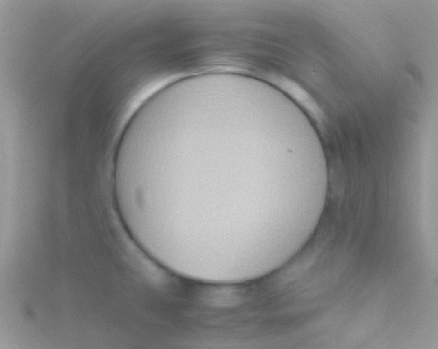 X0000115391431200911241237