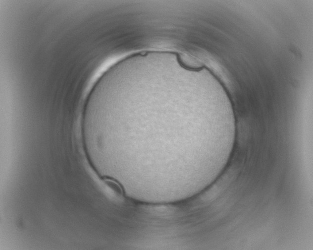 X0000115391432200911241237