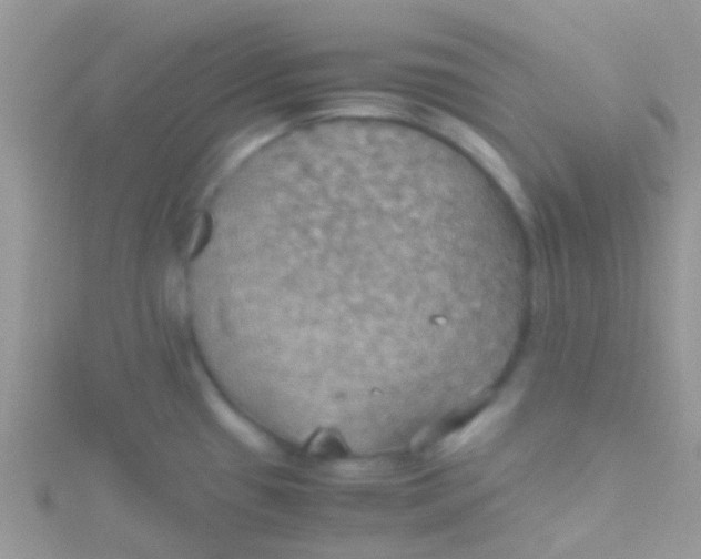 X0000115391433200911241237