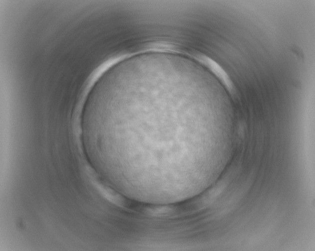 X0000115391435200911241237