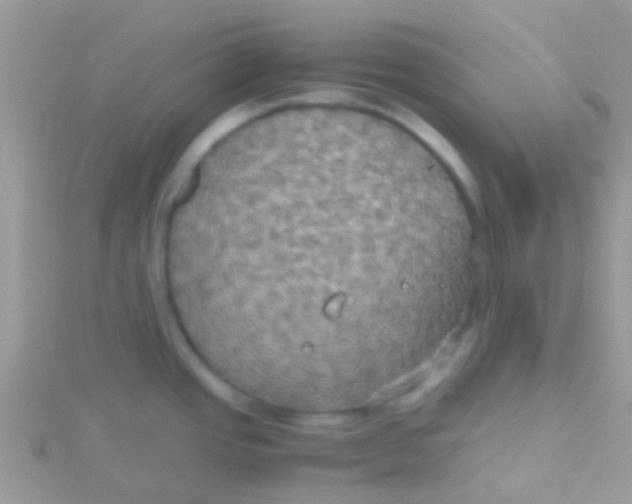 X0000115391437200911241237