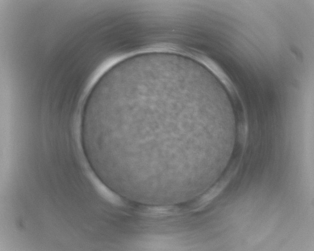 X0000115391438200911241237