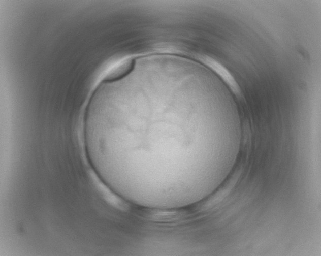 X0000115391439200911241237