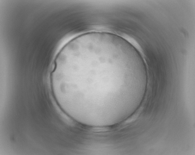 X0000115391440200911241237