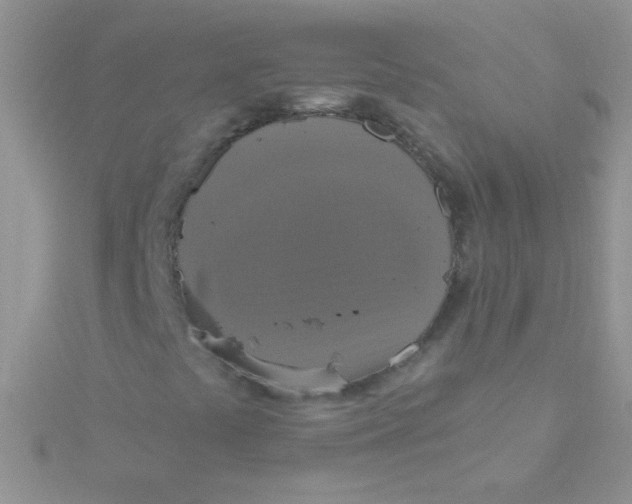 X0000115391441200911241237