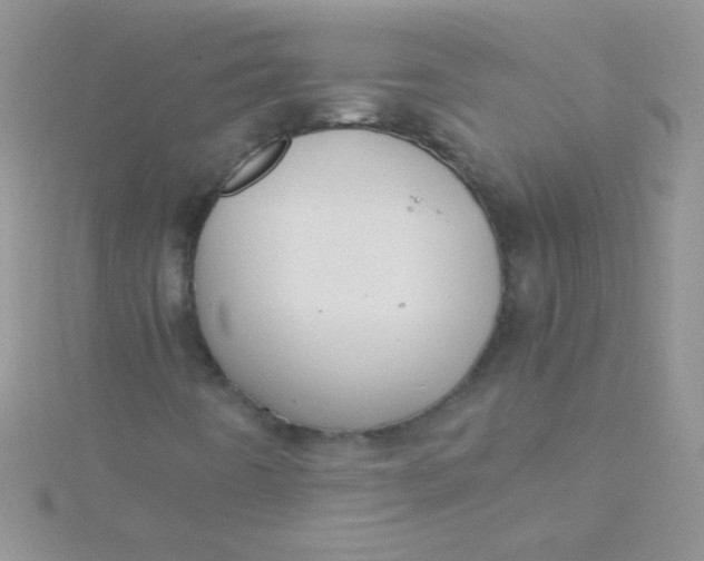 X0000115391442200911241237