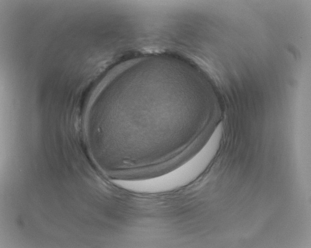 X0000115391444200911241237