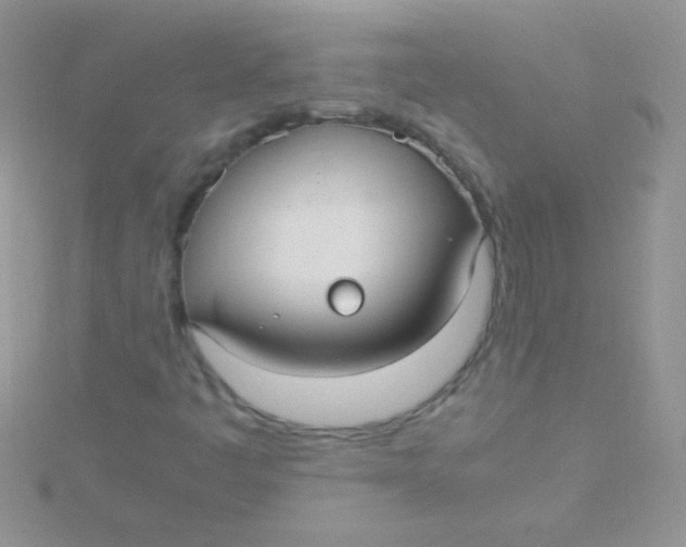 X0000115391445200911241237