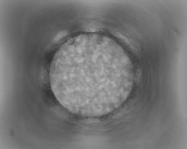 X0000115391446200911241237