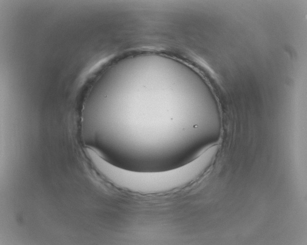 X0000115391448200911241237