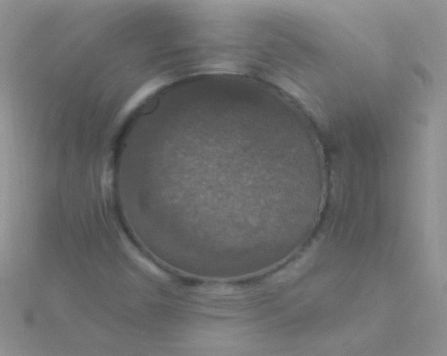 X0000115391450200911241237