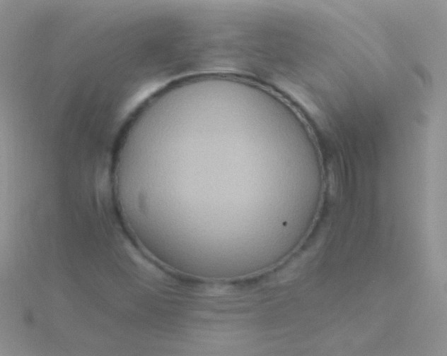 X0000115391452200911241236