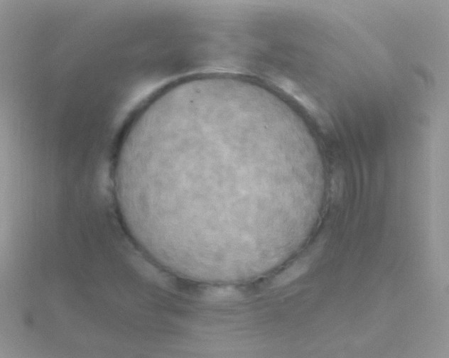 X0000115391454200911241236