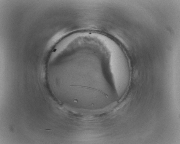 X0000115391455200911241236