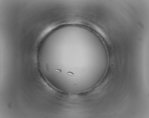 X0000115391456200911241236