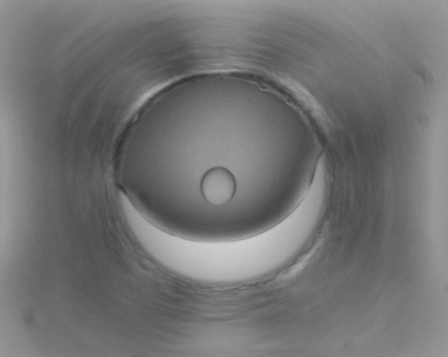 X0000115391457200911241236