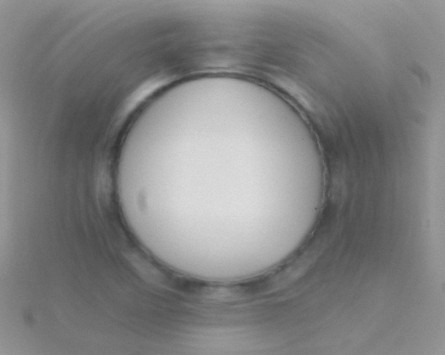 X0000115391458200911241236