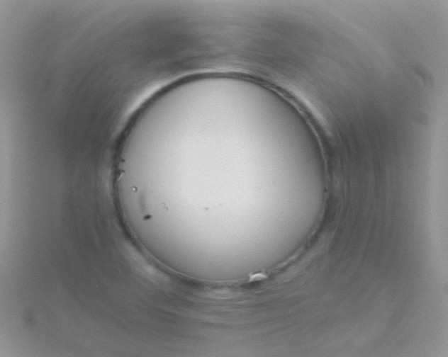 X0000115391460200911241236