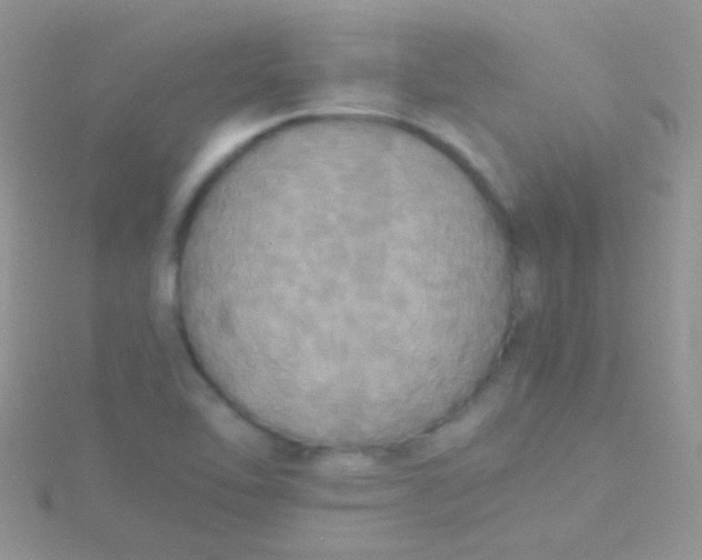 X0000115391462200911241236