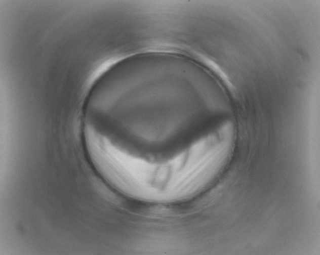 X0000115391463200911241236