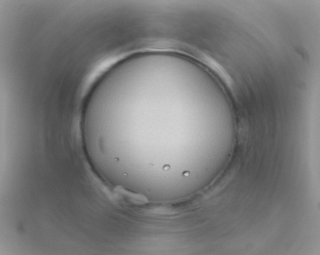 X0000115391464200911241236