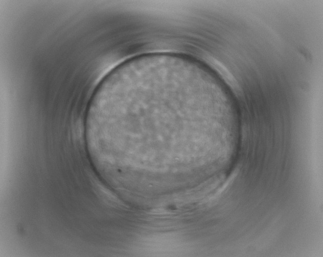 X0000115391465200911241236