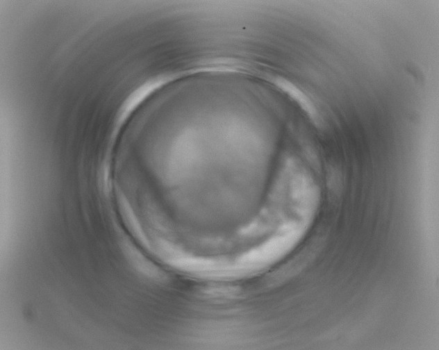 X0000115391466200911241236