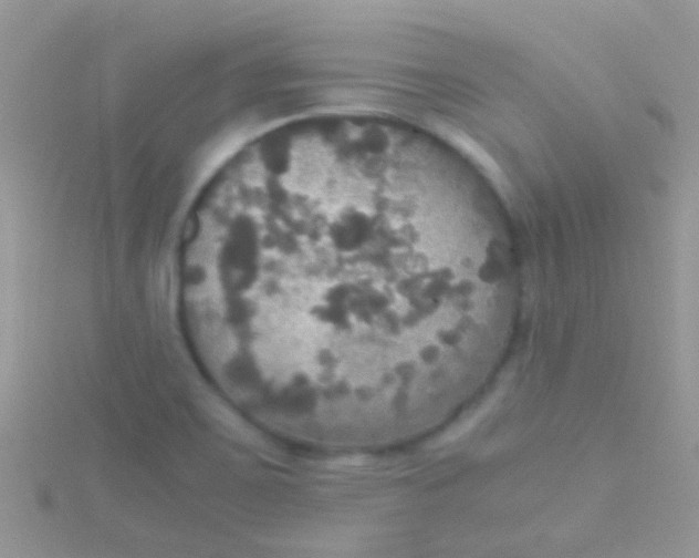 X0000115391467200911241236