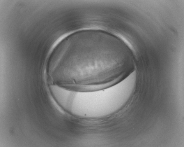 X0000115391468200911241236