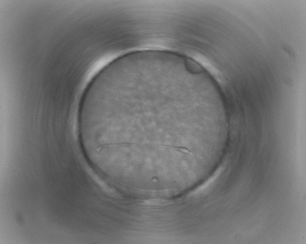 X0000115391469200911241236