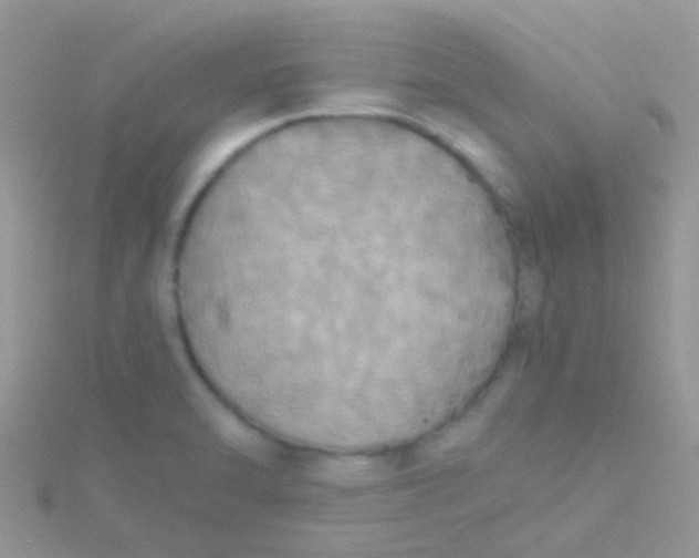 X0000115391470200911241236