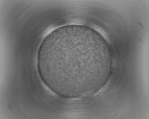 X0000115391471200911241236