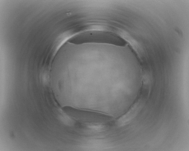 X0000115391473200911241236