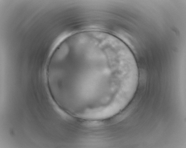 X0000115391474200911241236