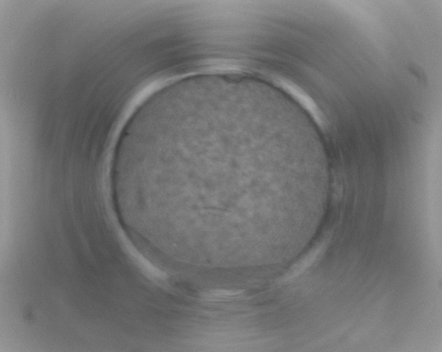 X0000115391475200911241236