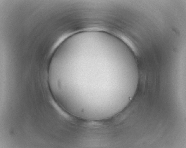 X0000115391476200911241236