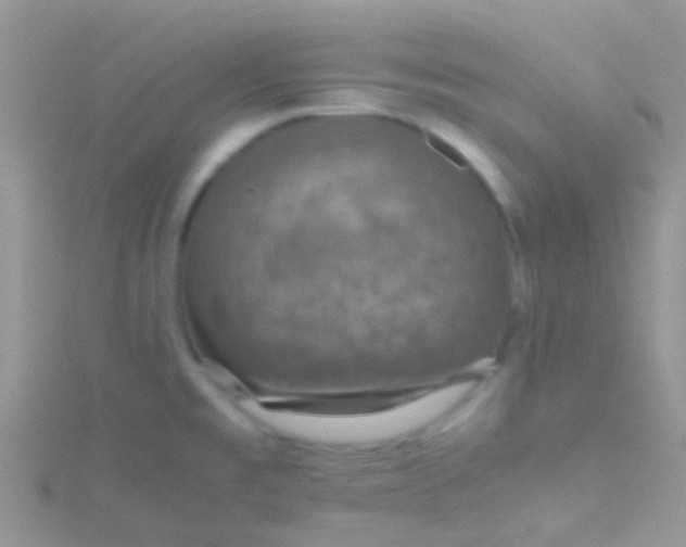 X0000115391477200911241236