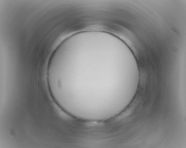 X0000115391478200911241236