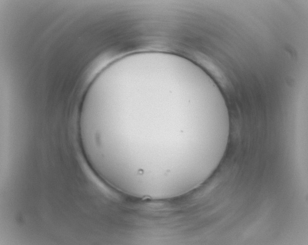 X0000115391479200911241236