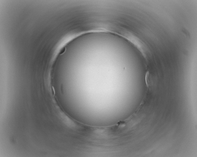 X0000115391480200911241236