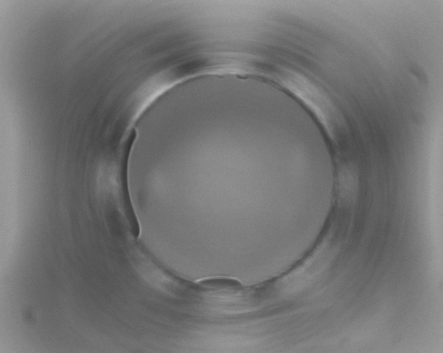 X0000115391481200911241236