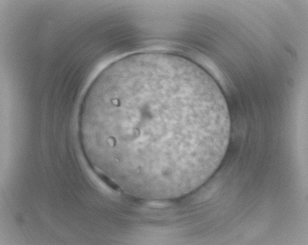 X0000115391483200911241236