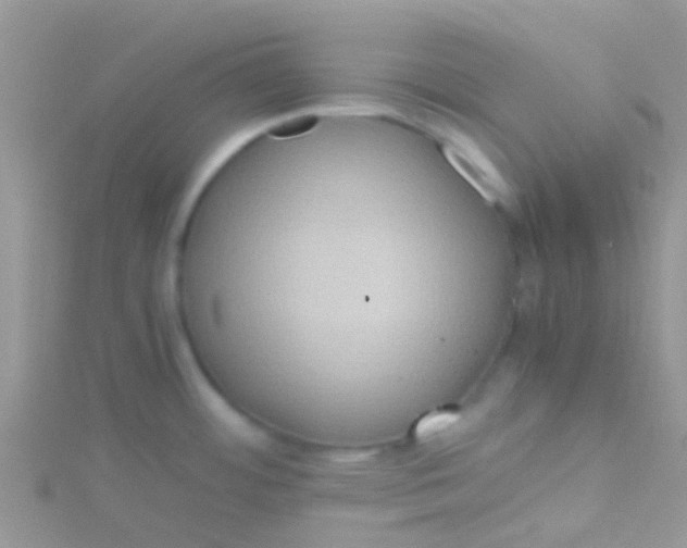 X0000115391484200911241236