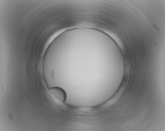 X0000115391486200911241236