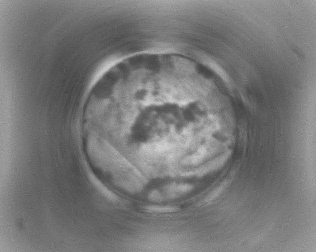 X0000115391487200911241236