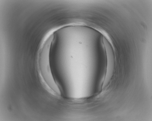 X0000115391488200911241236