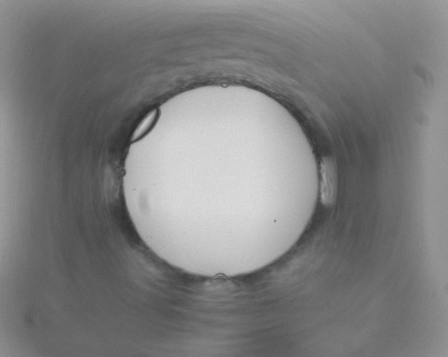 X0000115391491200911241235