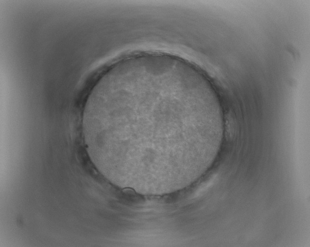 X0000115391494200911241235