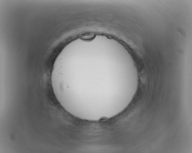 X0000115391495200911241235