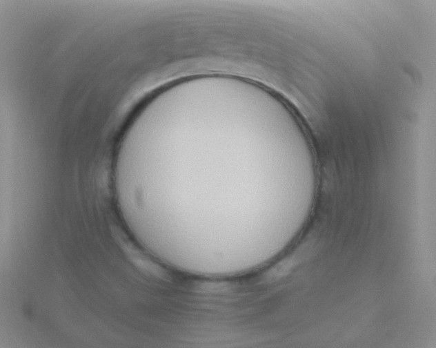 X0000115391499200911241235